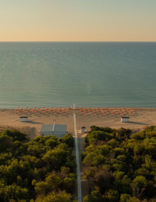 Spiaggia con ombrelloni arancioni, mare calmo e vegetazione rigogliosa in primo piano.