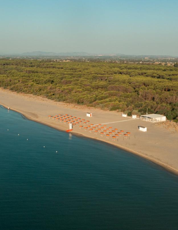 Spiaggia con ombrelloni arancioni, mare calmo e pineta sullo sfondo.